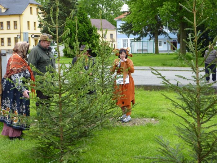 Scénka pod májkou
Klíčová slova: Bělá;kácení máje