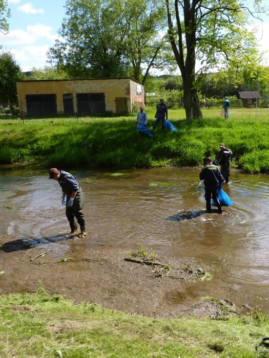 Úklid Radbuzy a jejího okolí
a vydali se vodou, po břehu
Klíčová slova: Bělá Radbuza