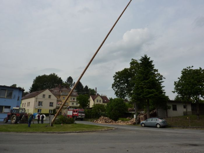 Kácení máje
Klíčová slova: Bělá kácení máje