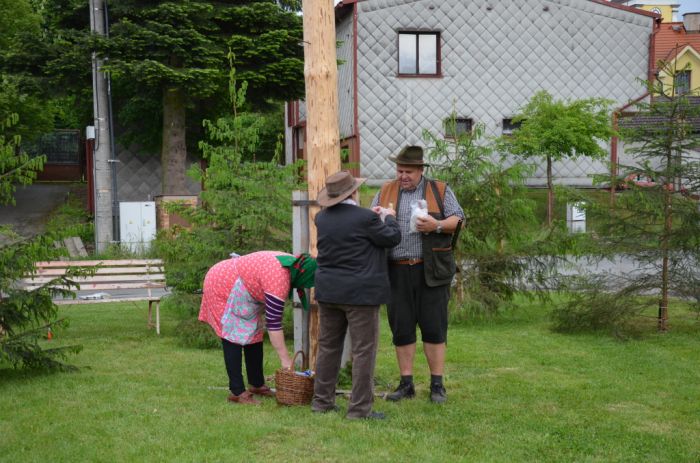 Kácení máje
Klíčová slova: Bělá;kácení máje