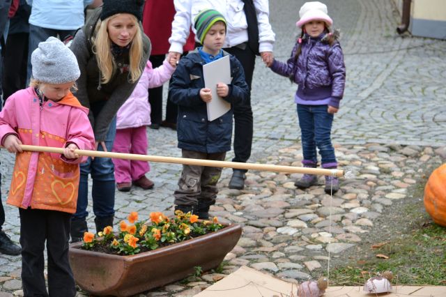 Chytit pavouka nebylo vůbec jednoduché...
