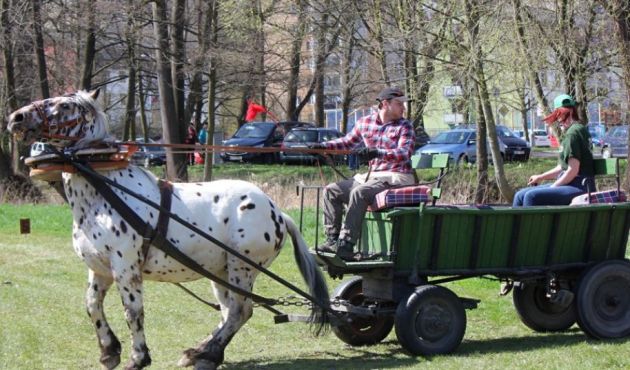 Foto www.kulturasusice.cz
