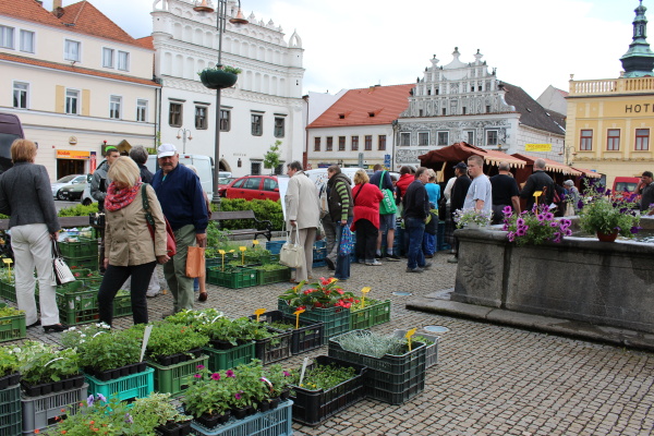 18. května 2013
